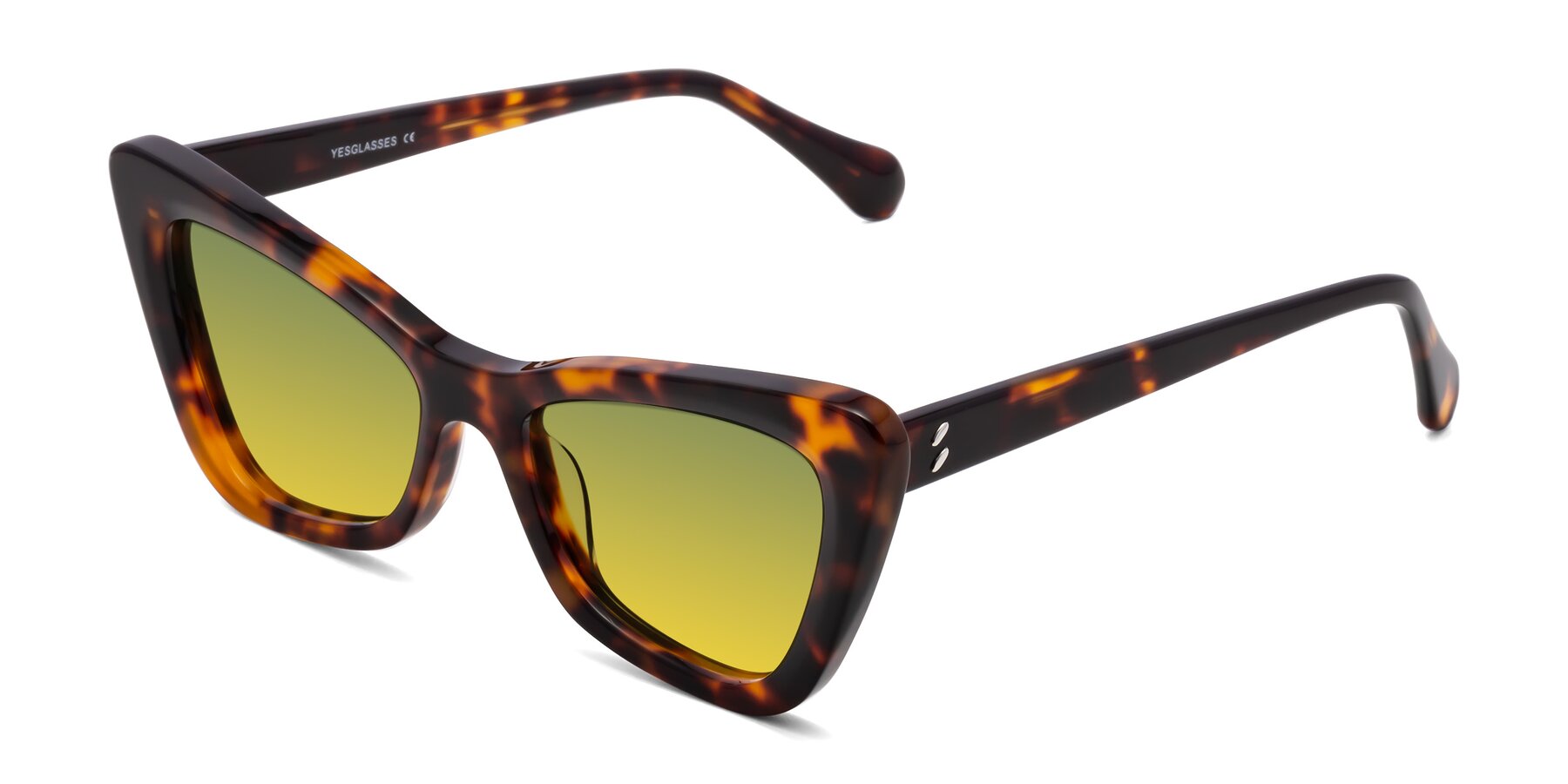 Angle of Rua in Tortoise with Green / Yellow Gradient Lenses