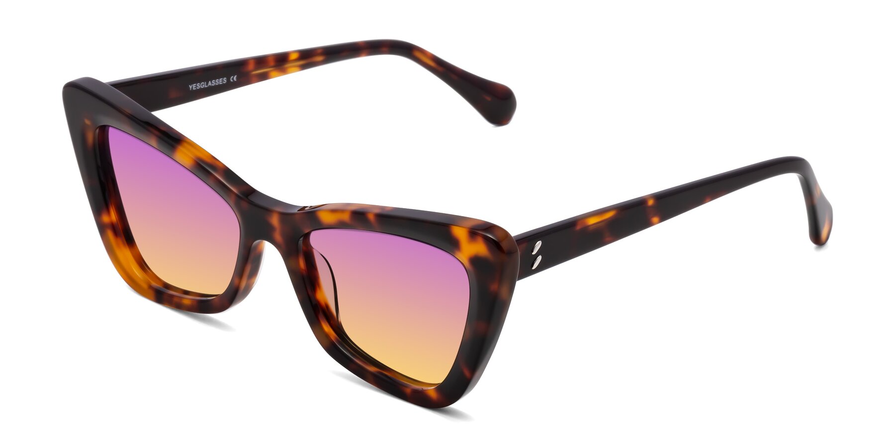 Angle of Rua in Tortoise with Purple / Yellow Gradient Lenses
