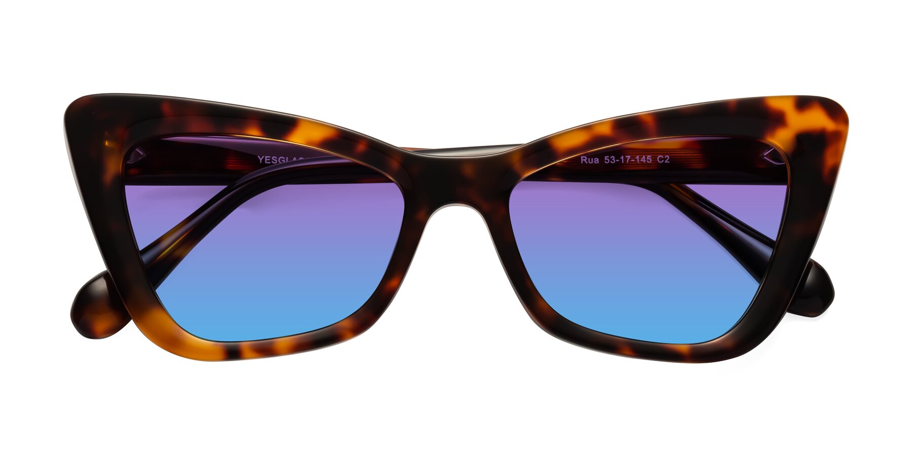 Folded Front of Rua in Tortoise with Purple / Blue Gradient Lenses