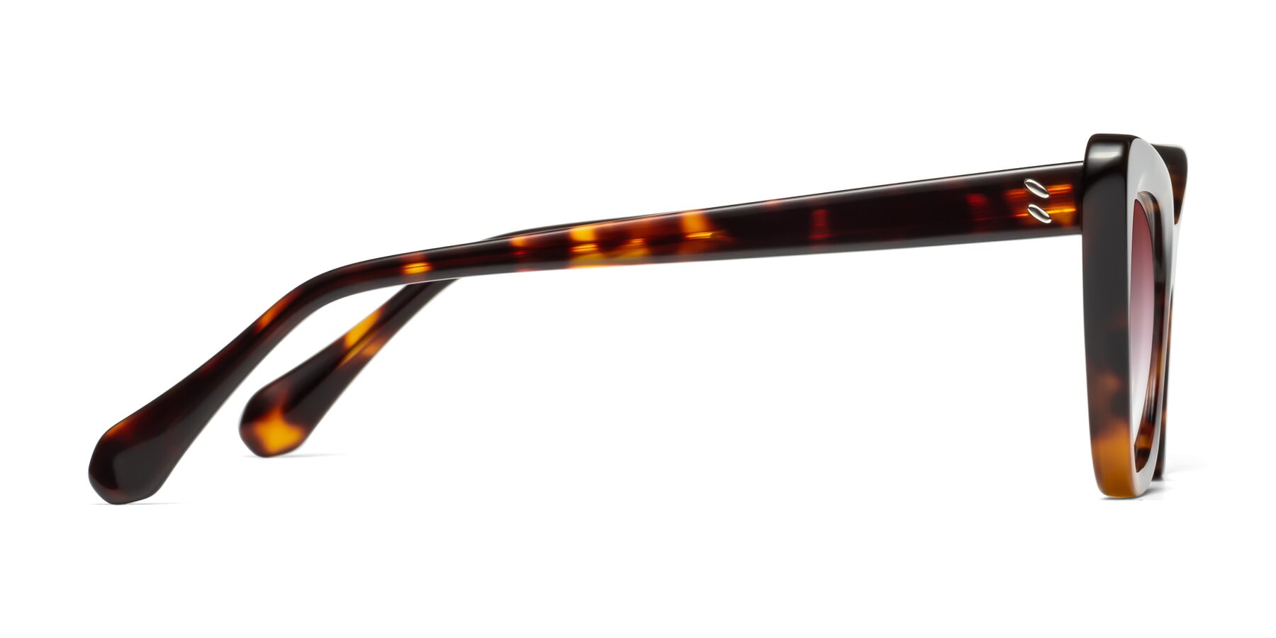 Side of Rua in Tortoise with Garnet Gradient Lenses