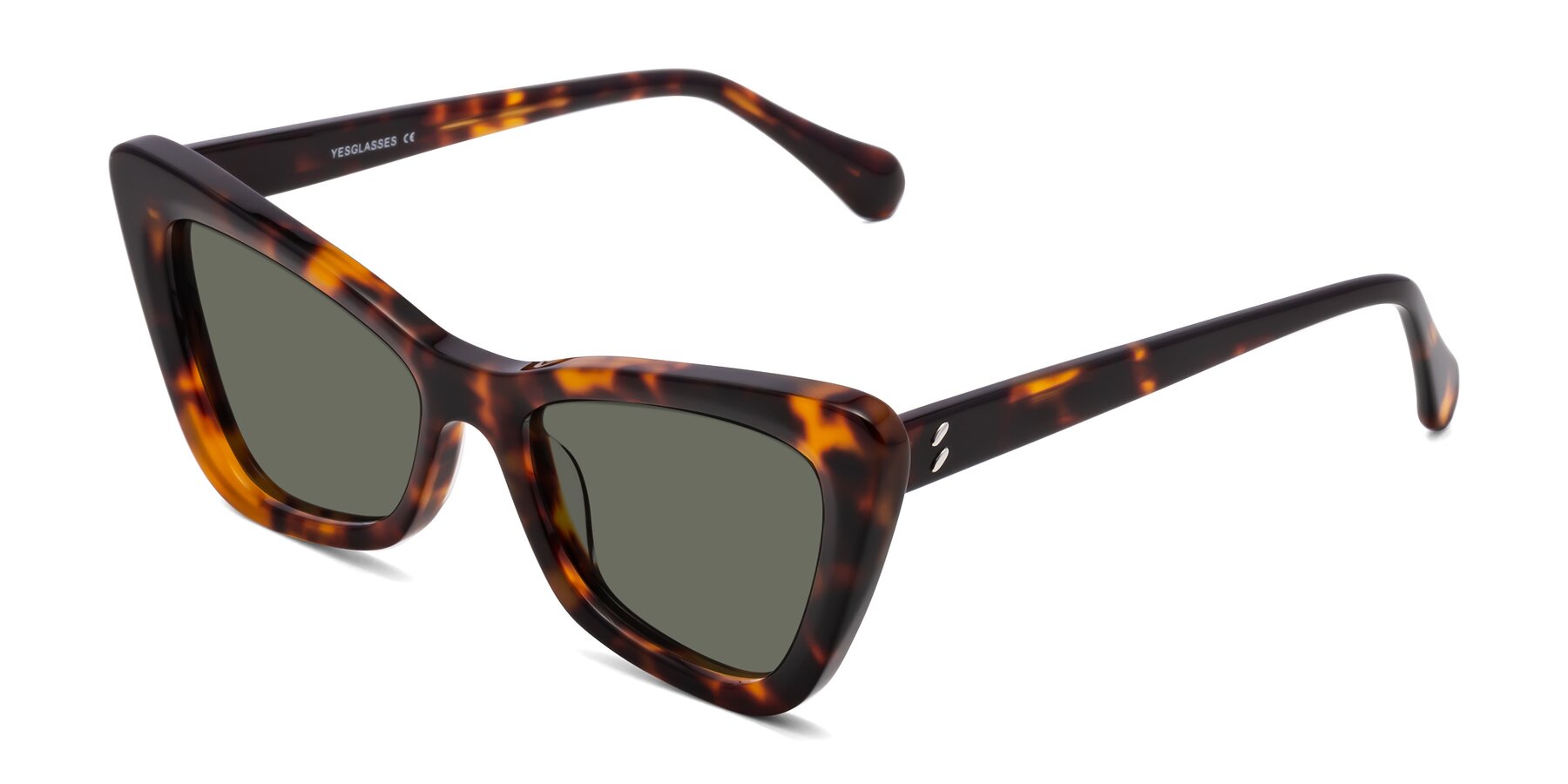 Angle of Rua in Tortoise with Gray Polarized Lenses