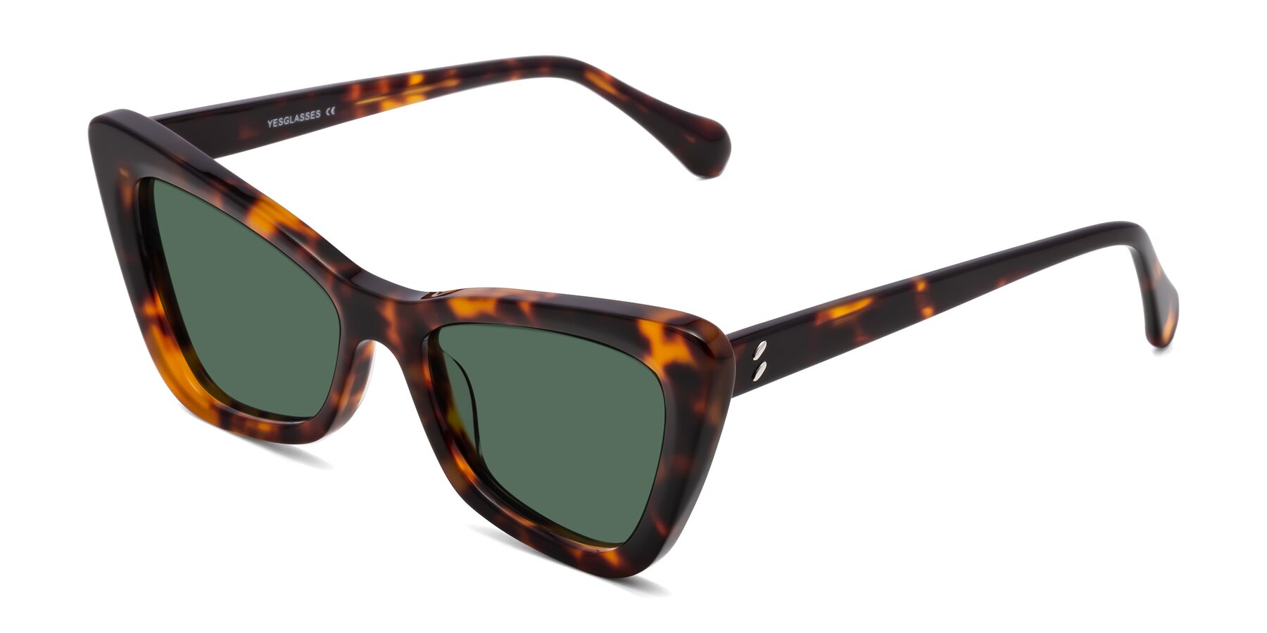 Angle of Rua in Tortoise with Green Polarized Lenses