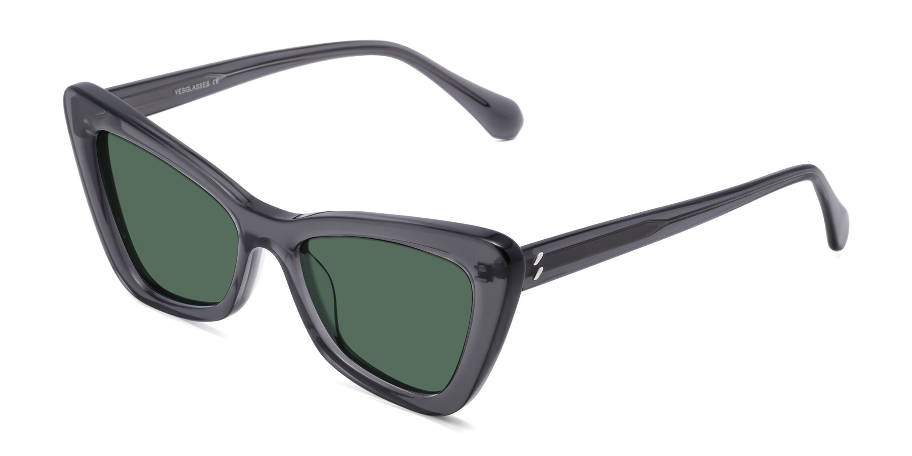 Angle of Rua in Gray with Green Polarized Lenses