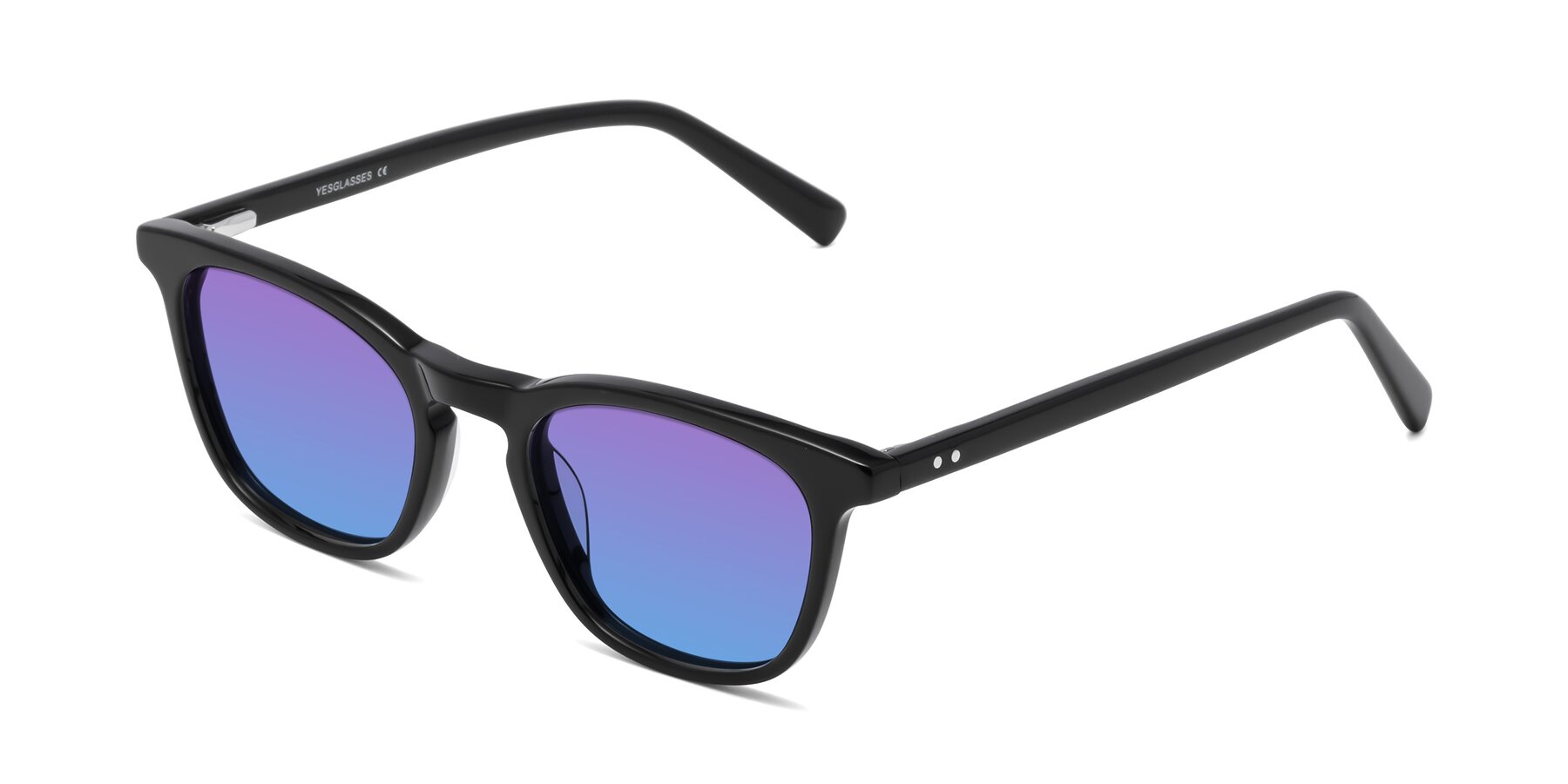 Angle of Loris in Black with Purple / Blue Gradient Lenses