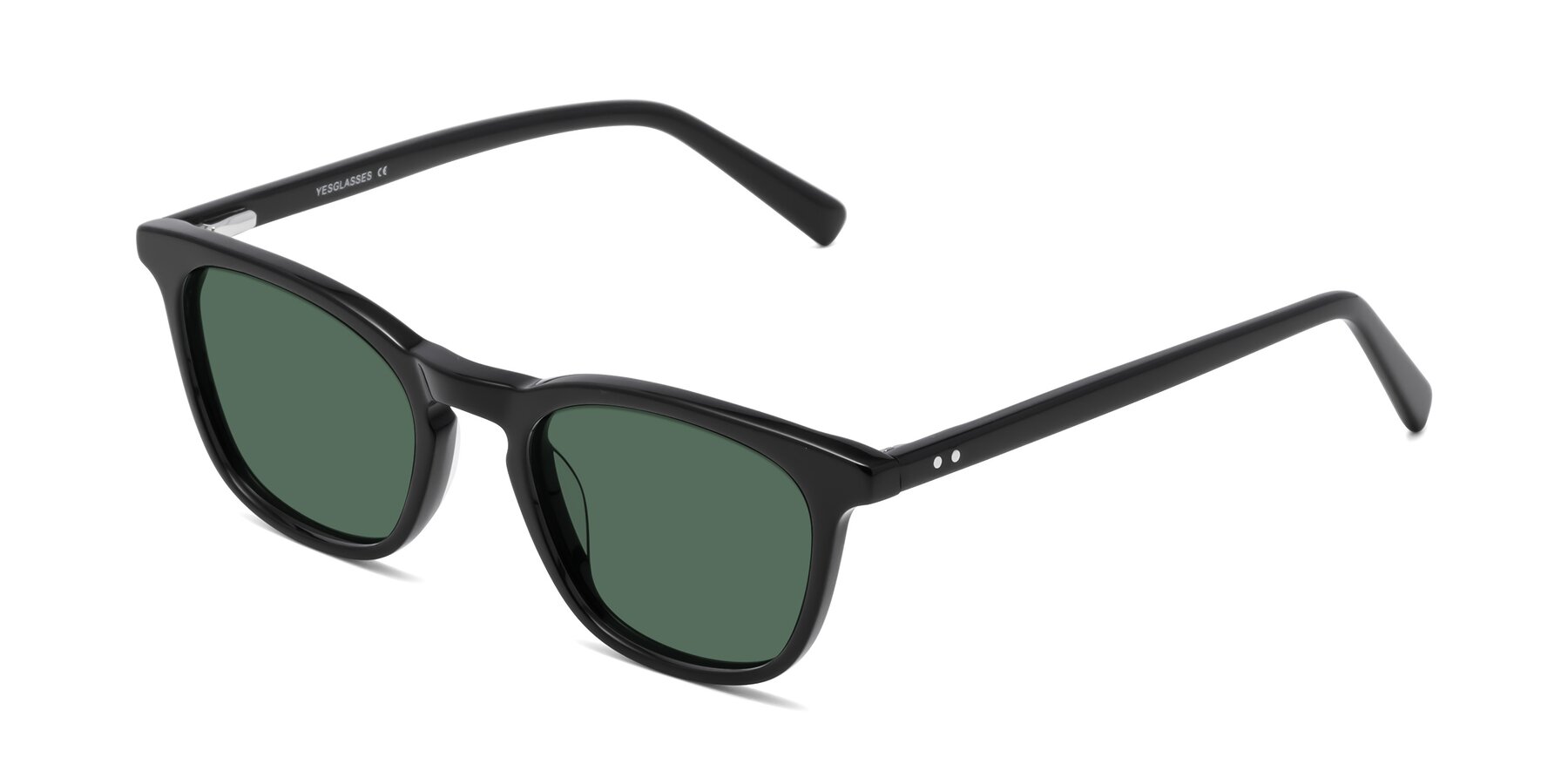 Angle of Loris in Black with Green Polarized Lenses
