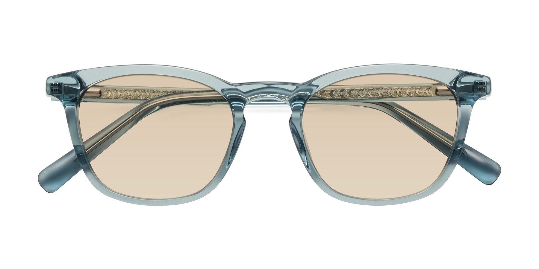 Folded Front of Loris in Light Blue with Light Brown Tinted Lenses