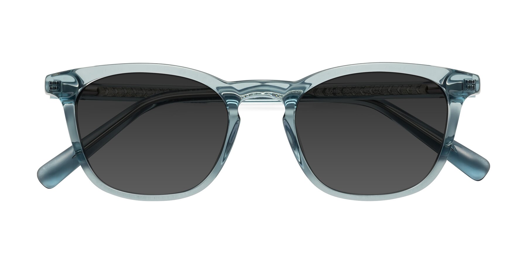 Folded Front of Loris in Light Blue with Gray Tinted Lenses