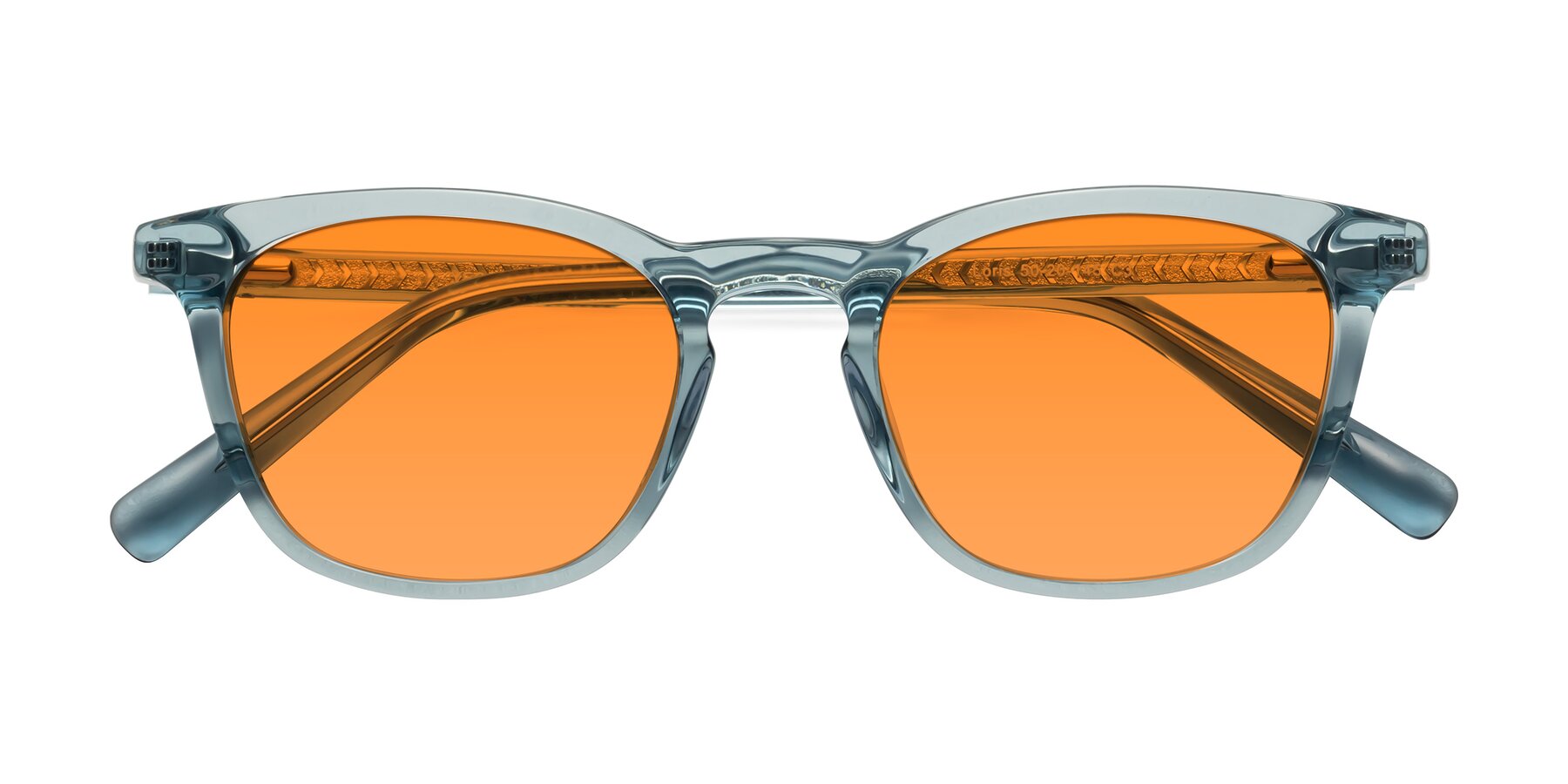 Folded Front of Loris in Light Blue with Orange Tinted Lenses