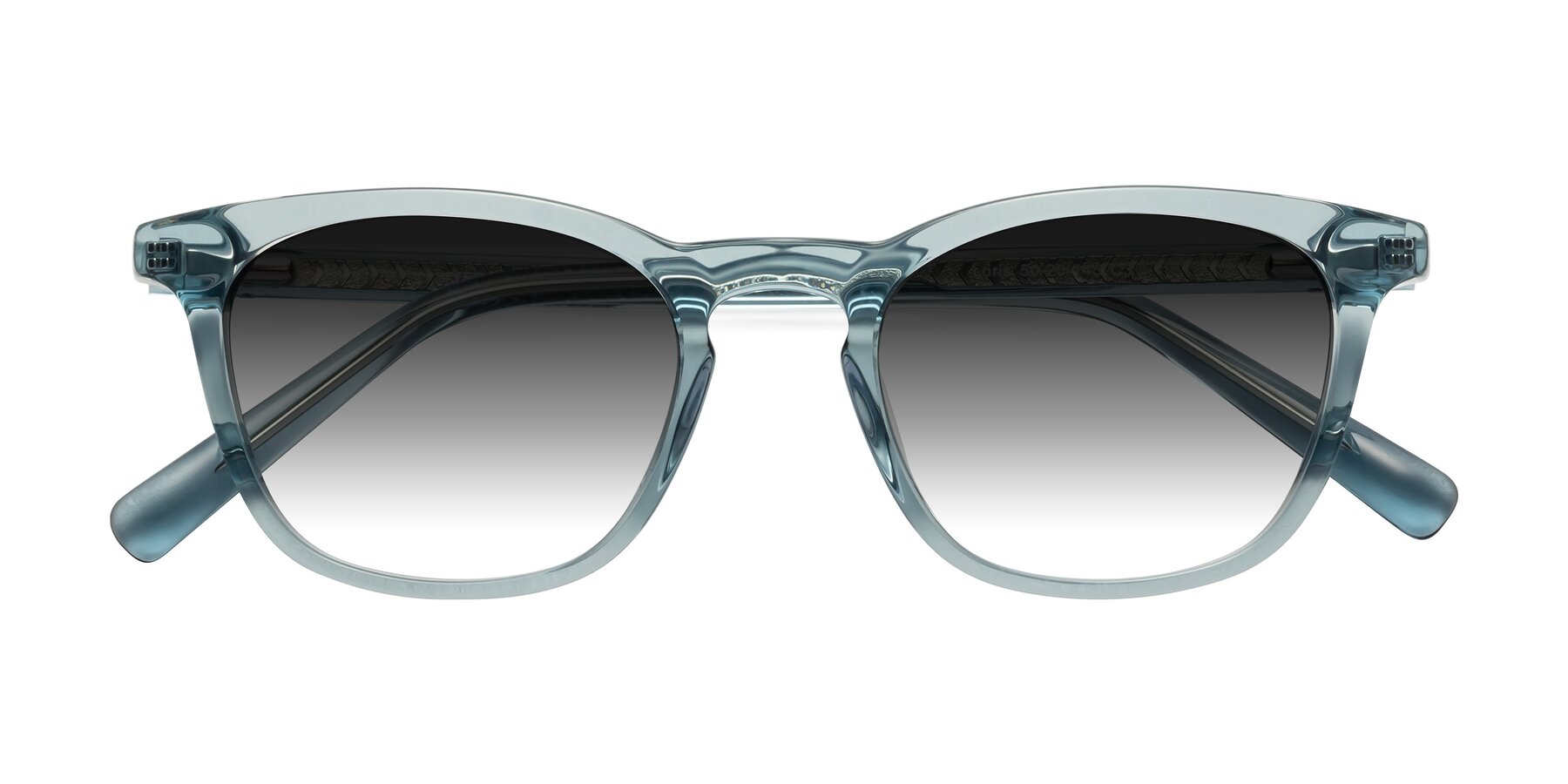 Folded Front of Loris in Light Blue with Gray Gradient Lenses