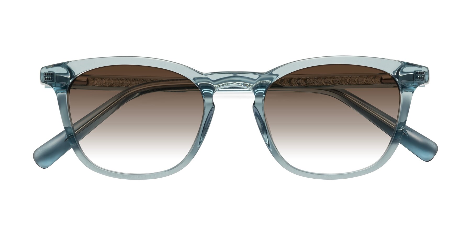 Folded Front of Loris in Light Blue with Brown Gradient Lenses