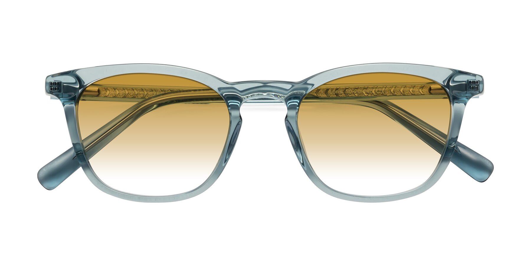 Folded Front of Loris in Light Blue with Champagne Gradient Lenses