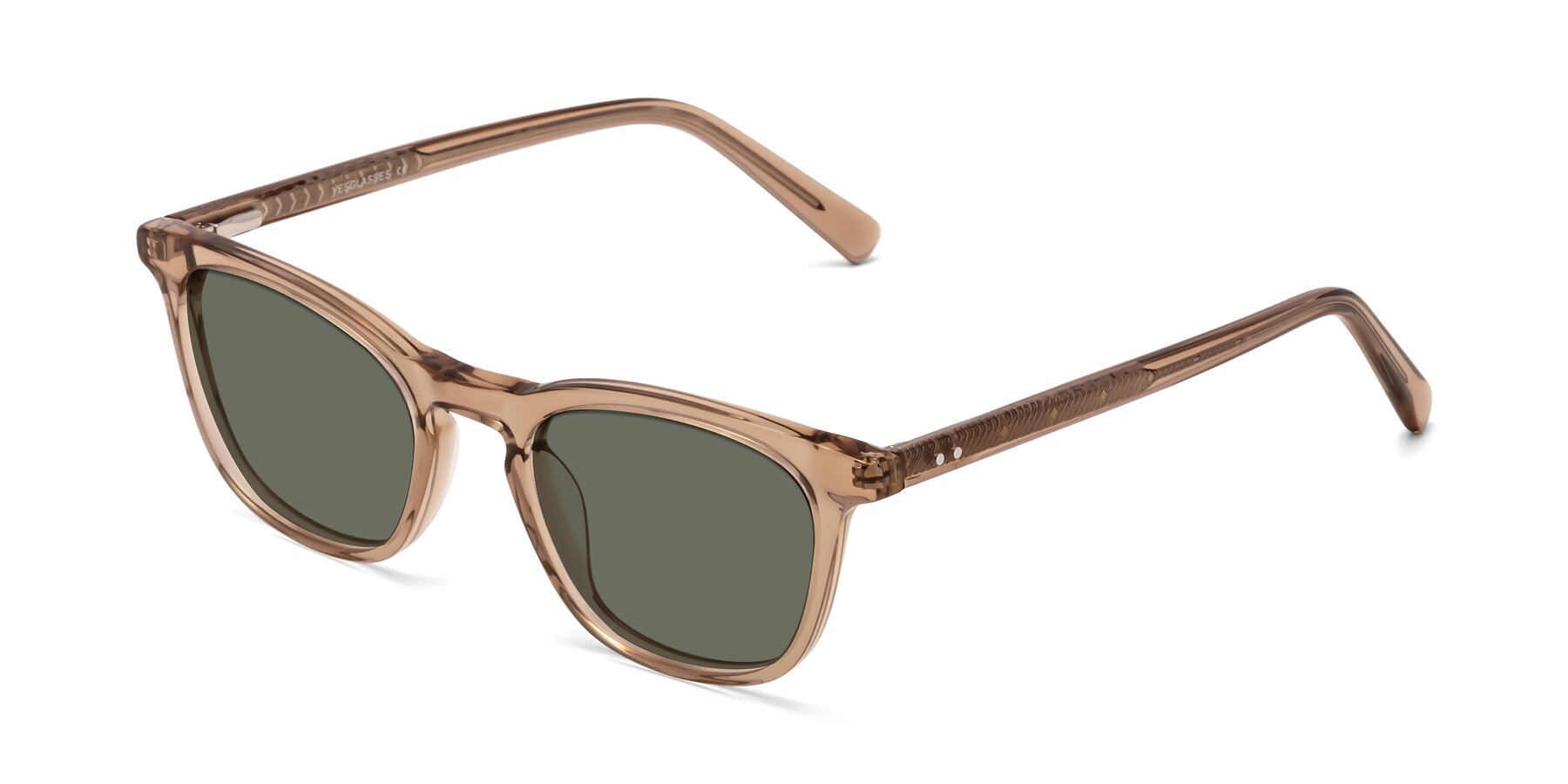 Angle of Loris in Light Brown with Gray Polarized Lenses