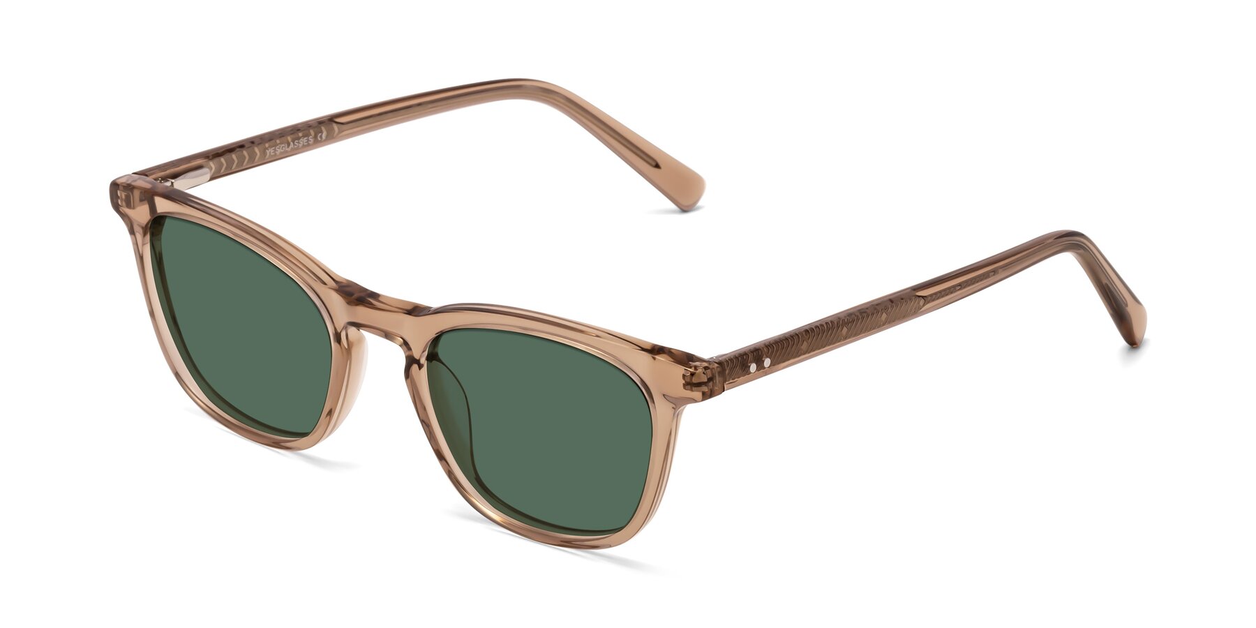 Angle of Loris in Light Brown with Green Polarized Lenses