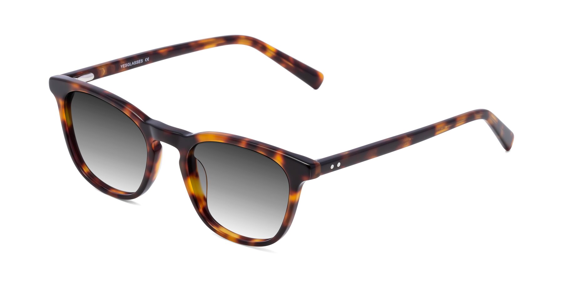 Angle of Loris in Tortoise with Gray Gradient Lenses