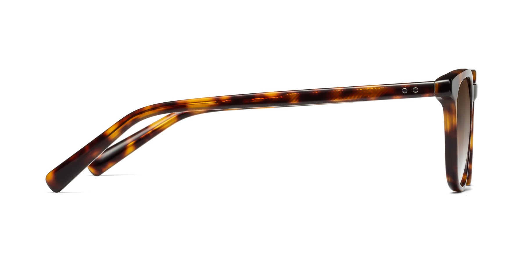 Side of Loris in Tortoise with Brown Gradient Lenses