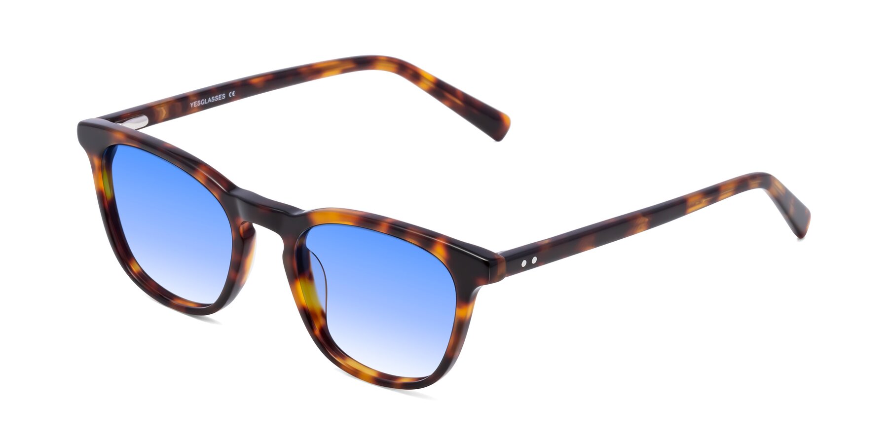 Angle of Loris in Tortoise with Blue Gradient Lenses
