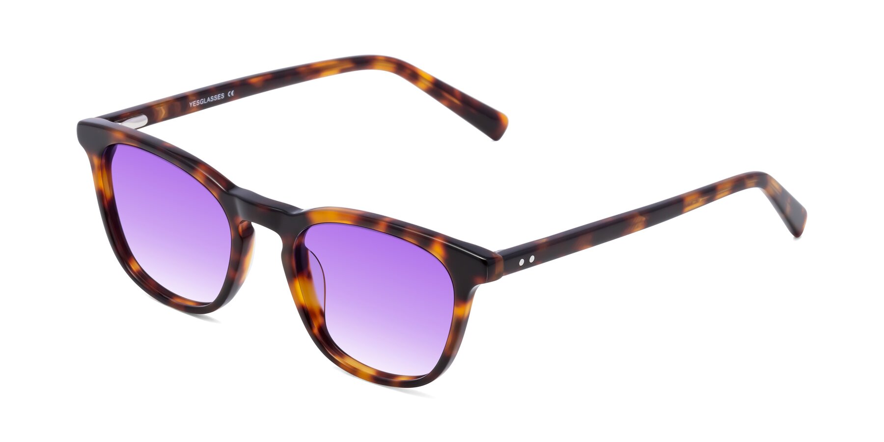 Angle of Loris in Tortoise with Purple Gradient Lenses