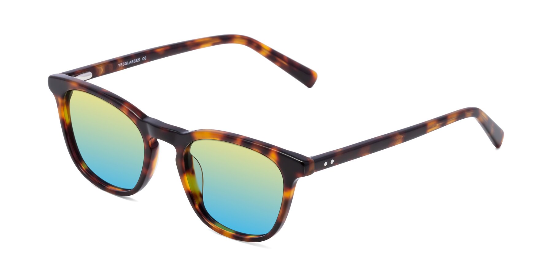 Angle of Loris in Tortoise with Yellow / Blue Gradient Lenses