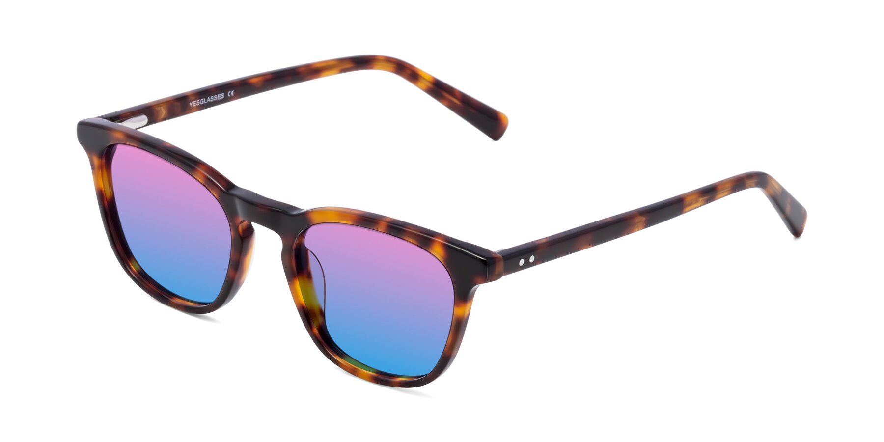 Angle of Loris in Tortoise with Pink / Blue Gradient Lenses