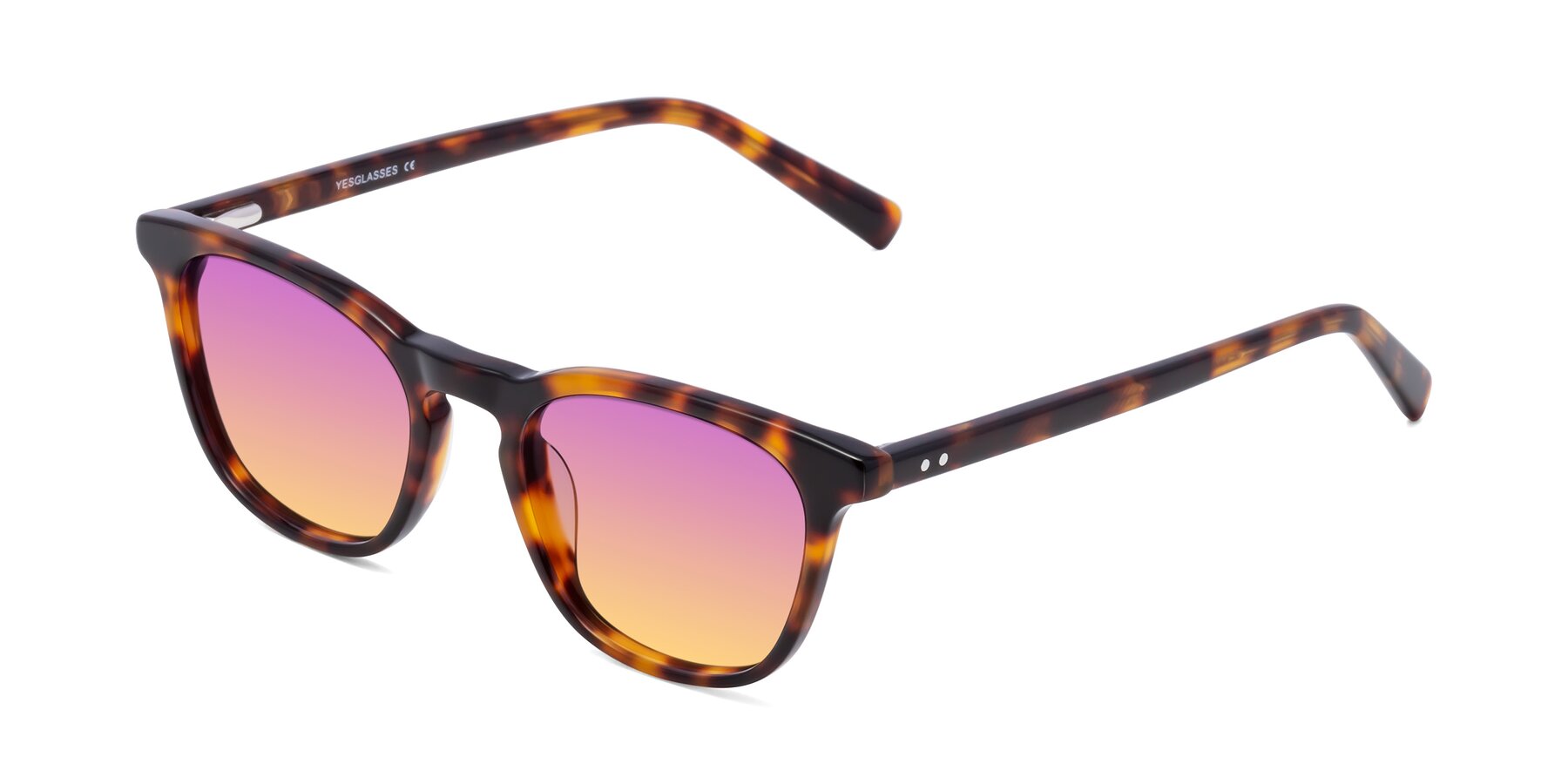 Angle of Loris in Tortoise with Purple / Yellow Gradient Lenses