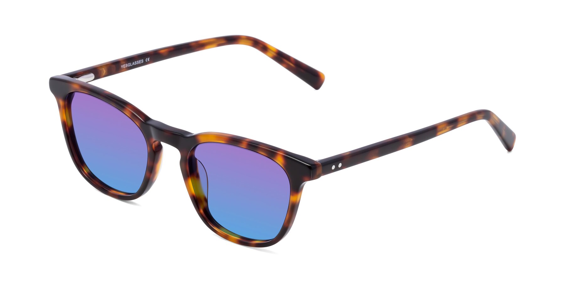 Angle of Loris in Tortoise with Purple / Blue Gradient Lenses