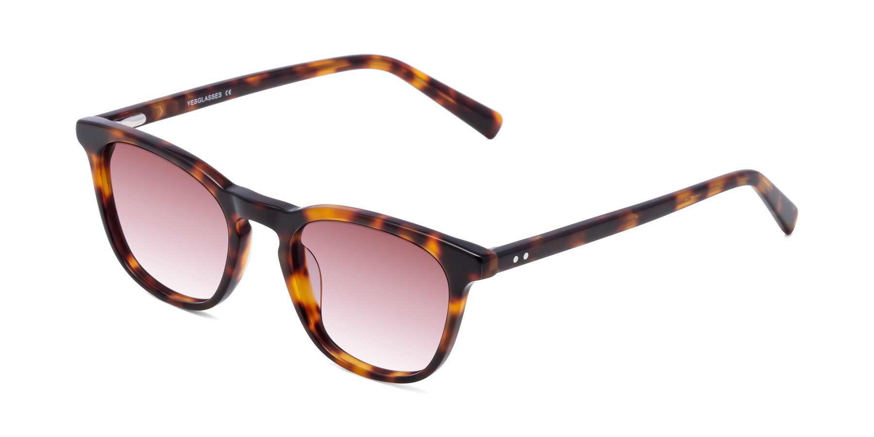 Angle of Loris in Tortoise with Garnet Gradient Lenses