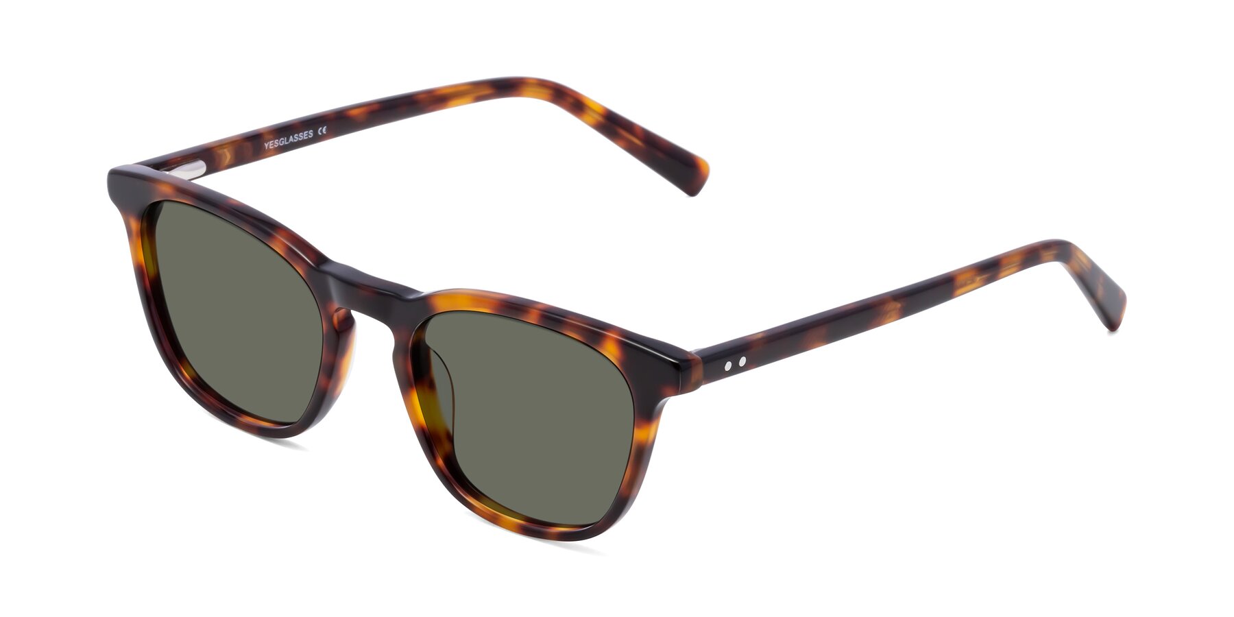 Angle of Loris in Tortoise with Gray Polarized Lenses