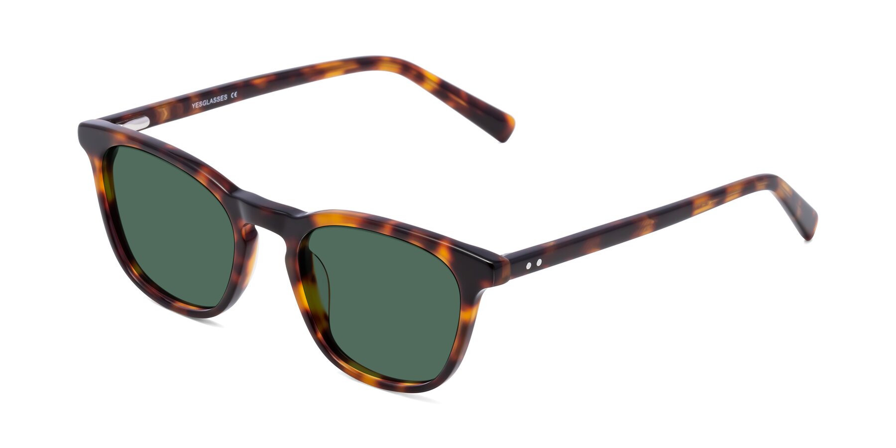 Angle of Loris in Tortoise with Green Polarized Lenses
