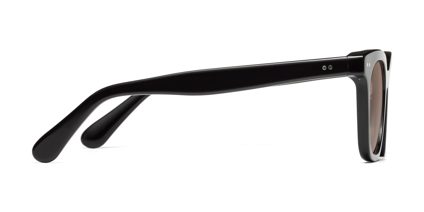 Side of Bush in Black with Medium Brown Tinted Lenses
