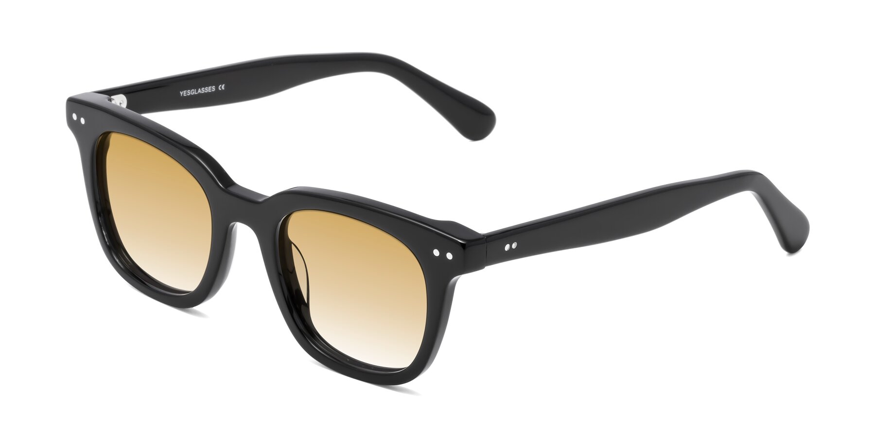 Angle of Bush in Black with Champagne Gradient Lenses