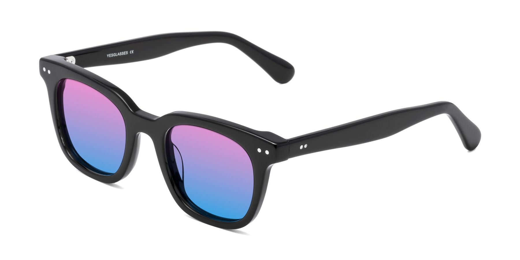 Angle of Bush in Black with Pink / Blue Gradient Lenses