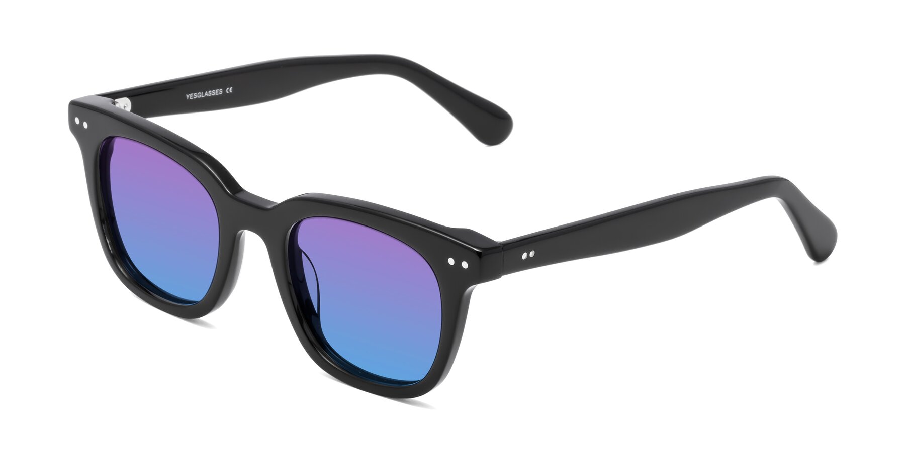 Angle of Bush in Black with Purple / Blue Gradient Lenses