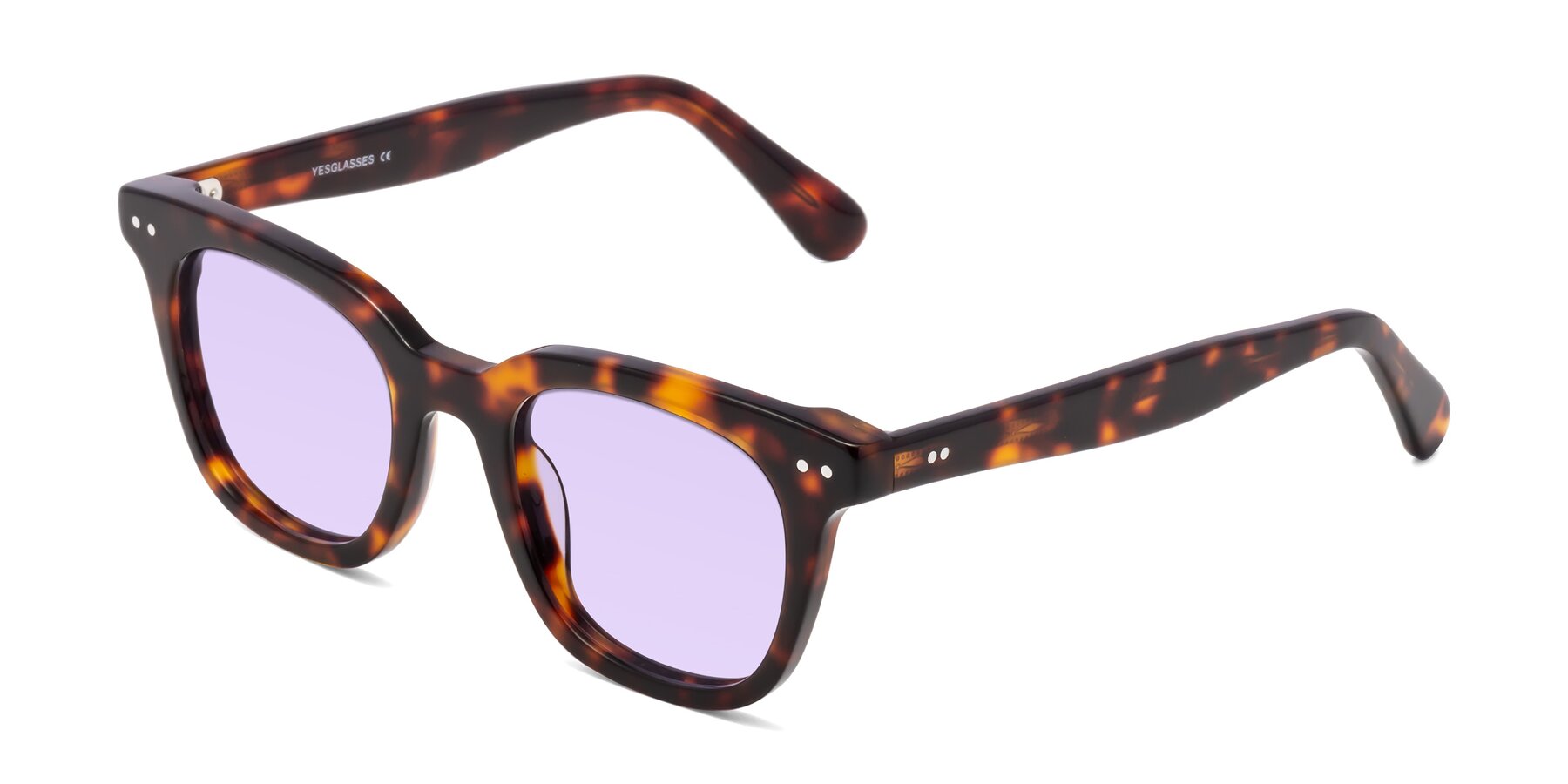 Angle of Bush in Tortoise with Light Purple Tinted Lenses