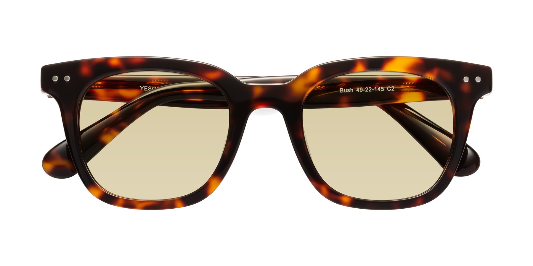 Folded Front of Bush in Tortoise with Light Champagne Tinted Lenses