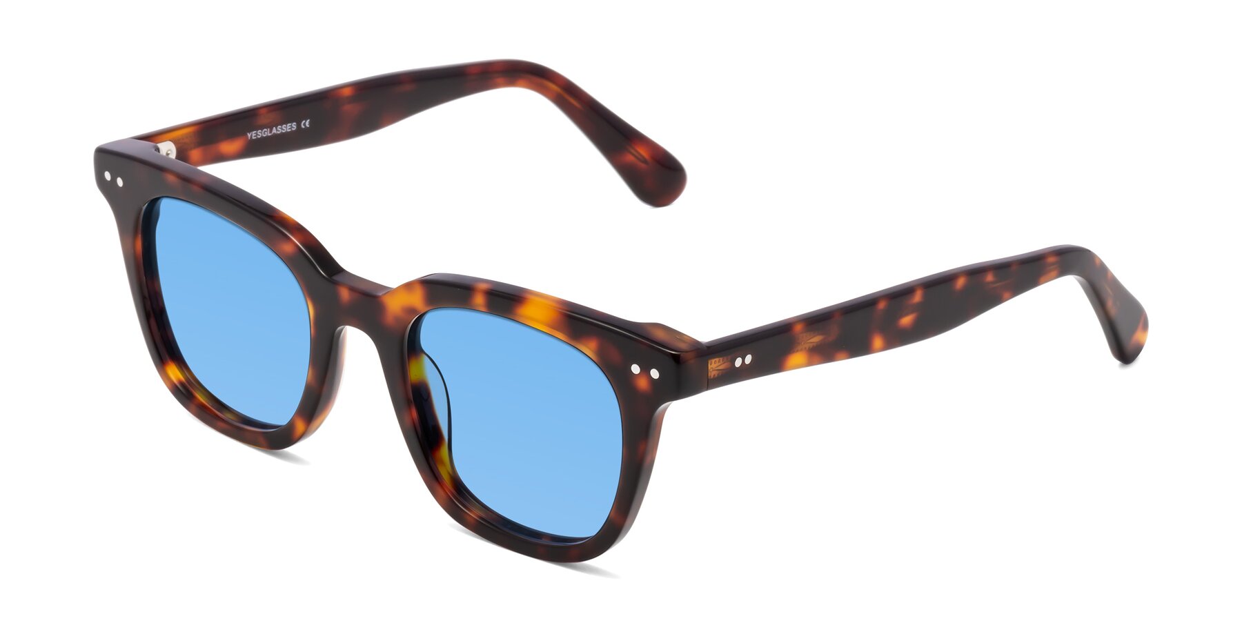 Angle of Bush in Tortoise with Medium Blue Tinted Lenses