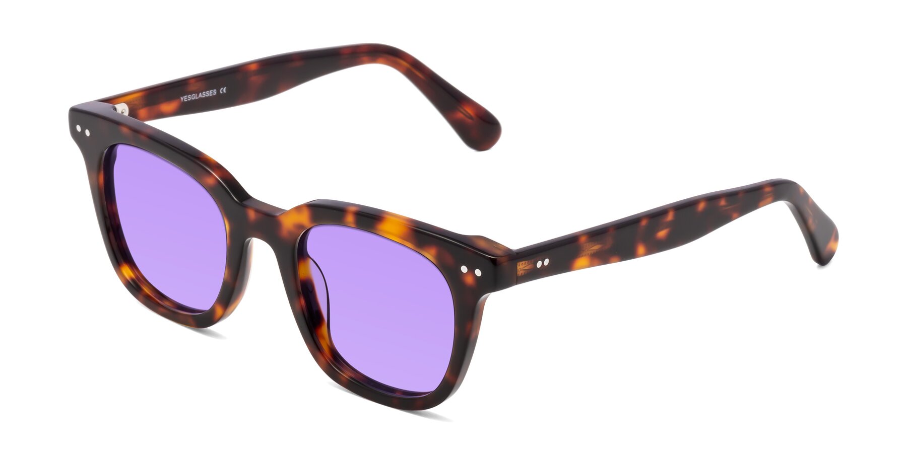 Angle of Bush in Tortoise with Medium Purple Tinted Lenses