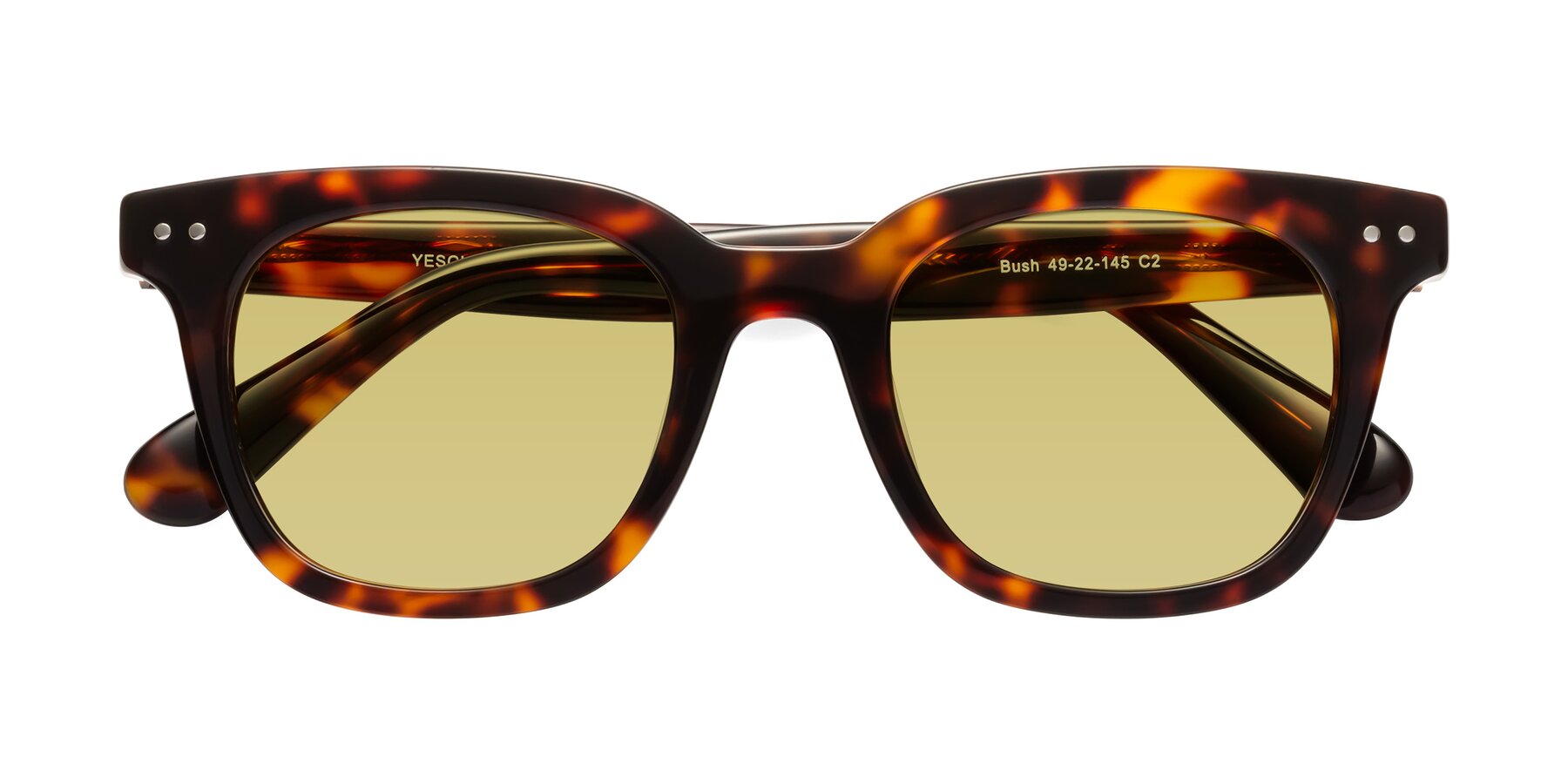 Folded Front of Bush in Tortoise with Medium Champagne Tinted Lenses