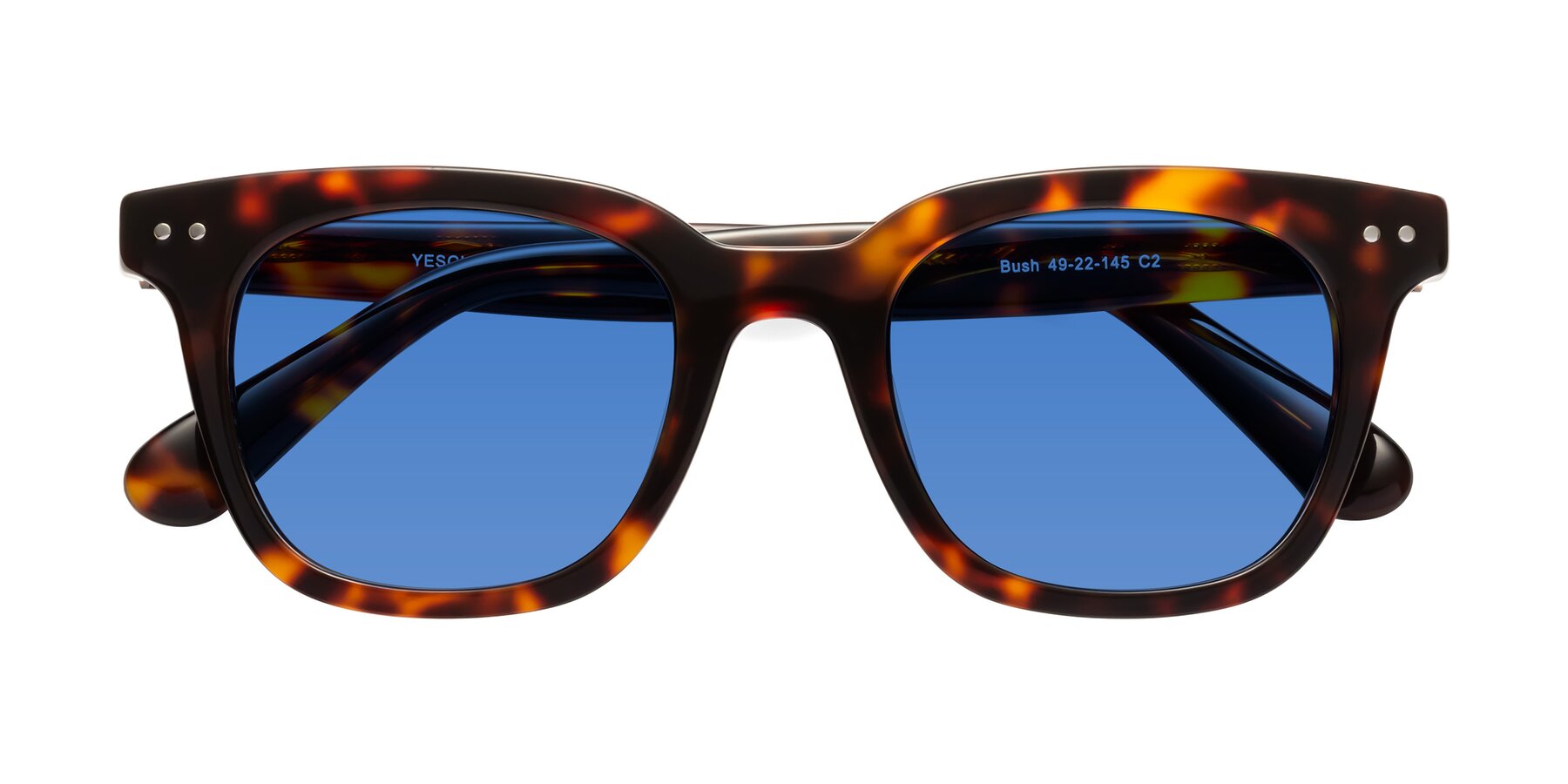 Folded Front of Bush in Tortoise with Blue Tinted Lenses