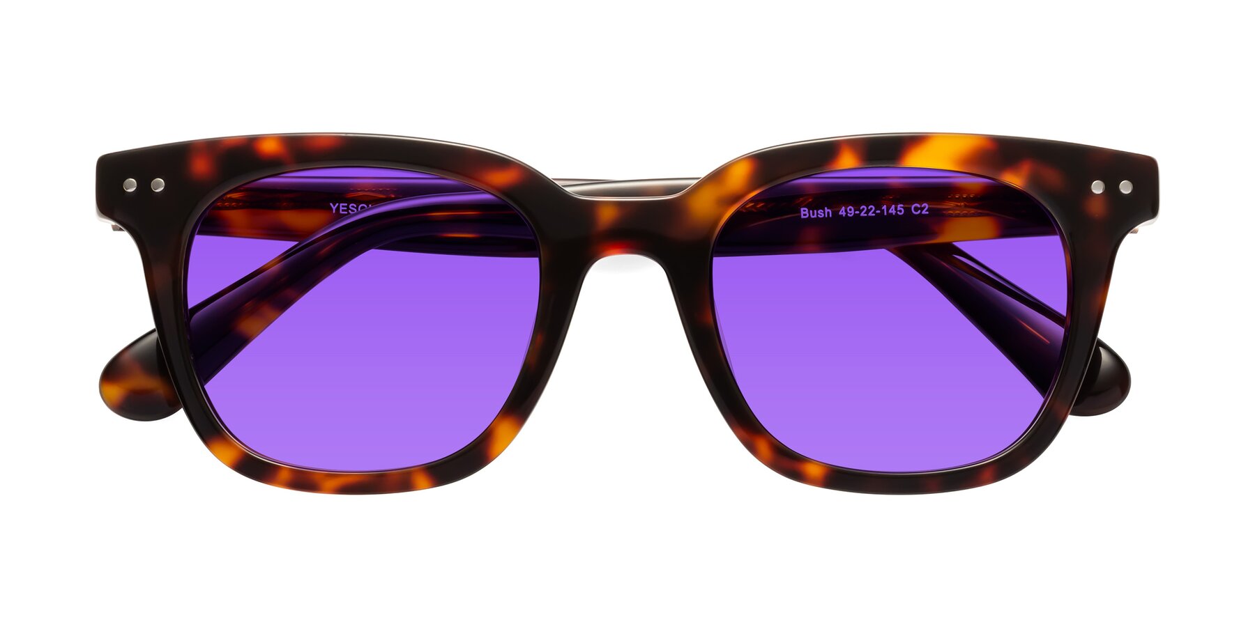 Folded Front of Bush in Tortoise with Purple Tinted Lenses