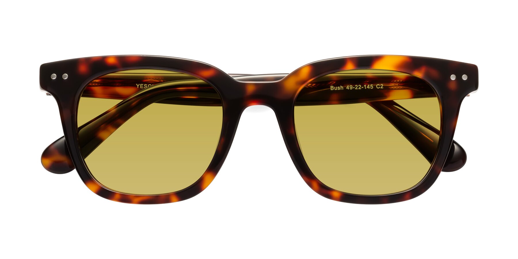 Folded Front of Bush in Tortoise with Champagne Tinted Lenses