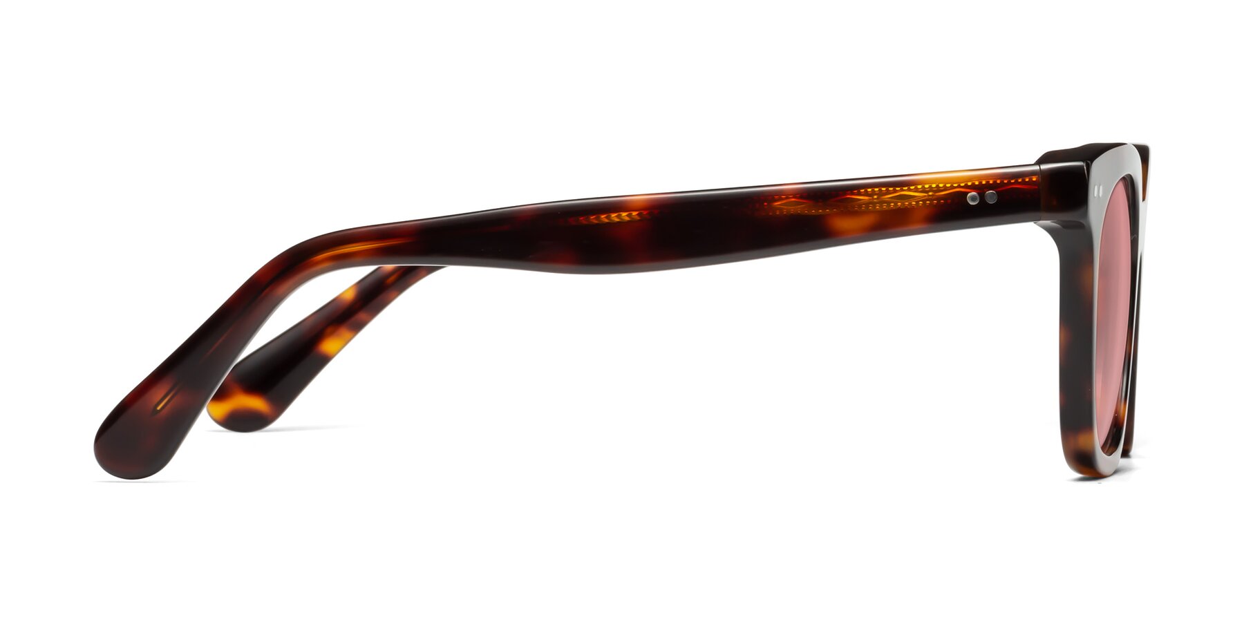 Side of Bush in Tortoise with Medium Garnet Tinted Lenses