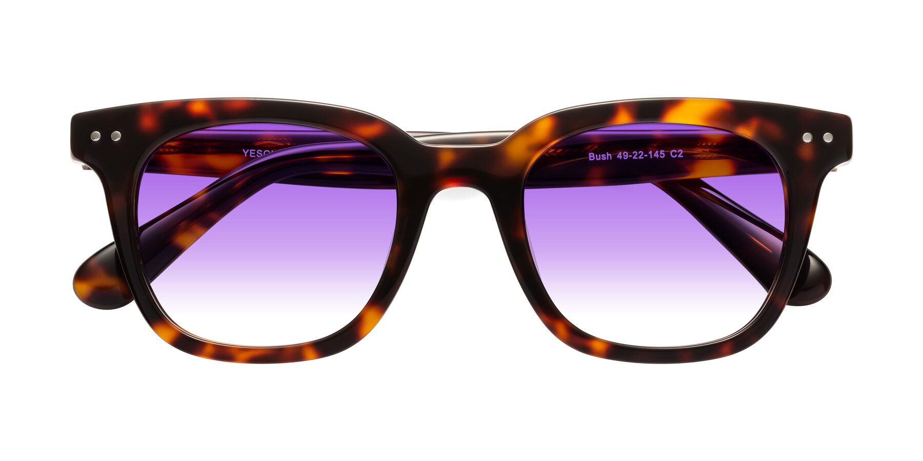 Folded Front of Bush in Tortoise with Purple Gradient Lenses