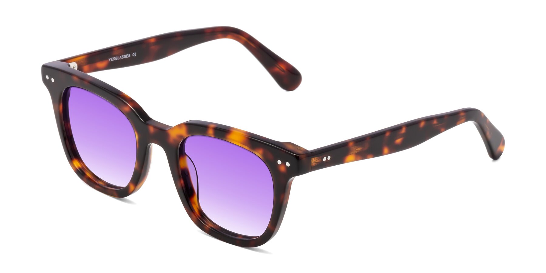 Angle of Bush in Tortoise with Purple Gradient Lenses