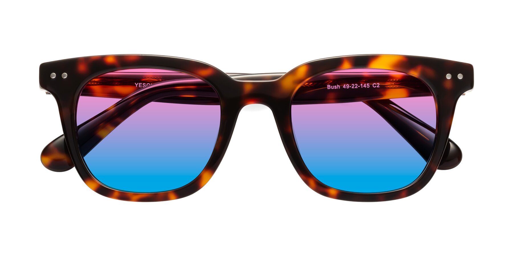 Folded Front of Bush in Tortoise with Pink / Blue Gradient Lenses