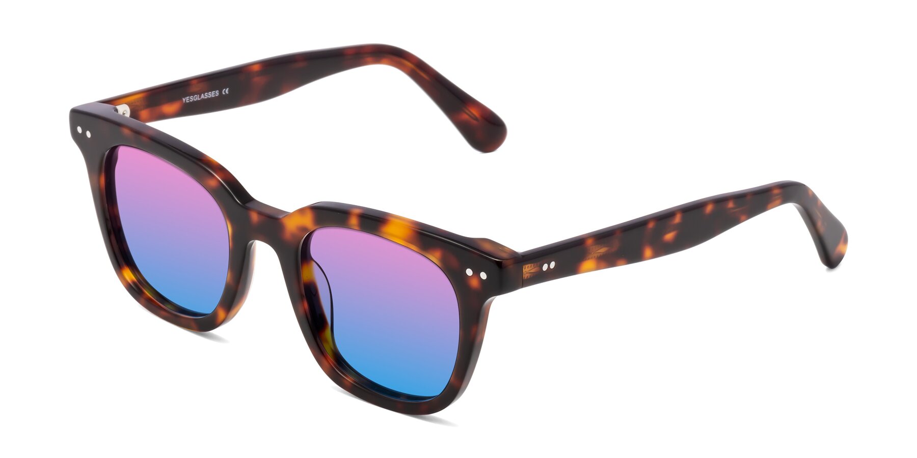 Angle of Bush in Tortoise with Pink / Blue Gradient Lenses
