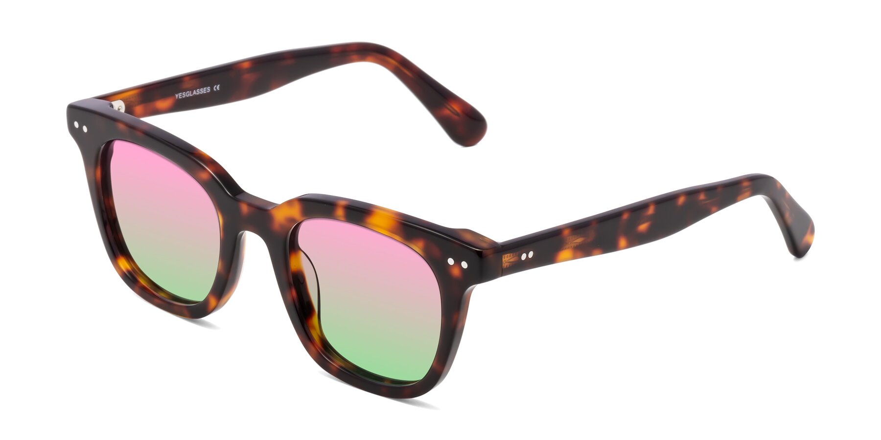 Angle of Bush in Tortoise with Pink / Green Gradient Lenses