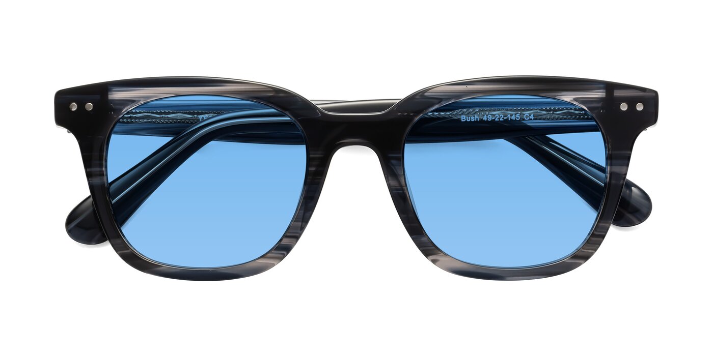 Bush - Stripe Gray Tinted Sunglasses