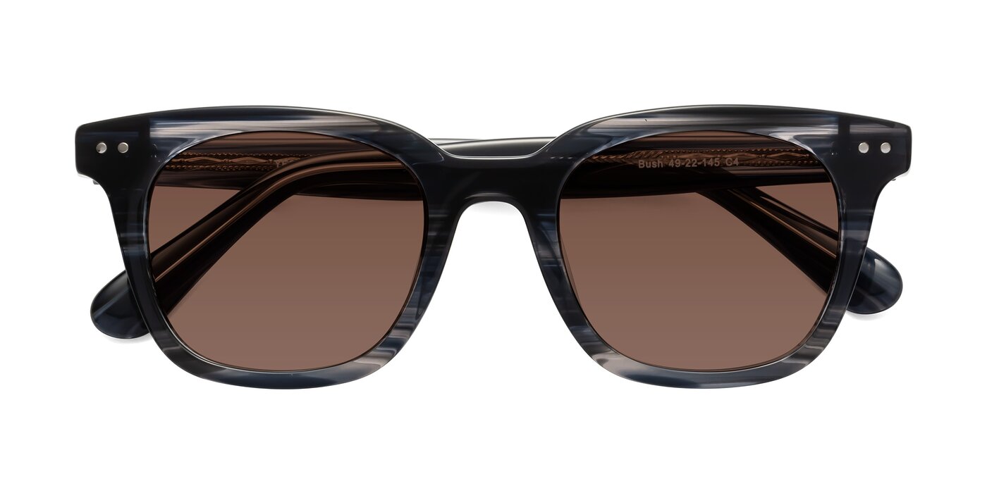 Bush - Stripe Gray Tinted Sunglasses