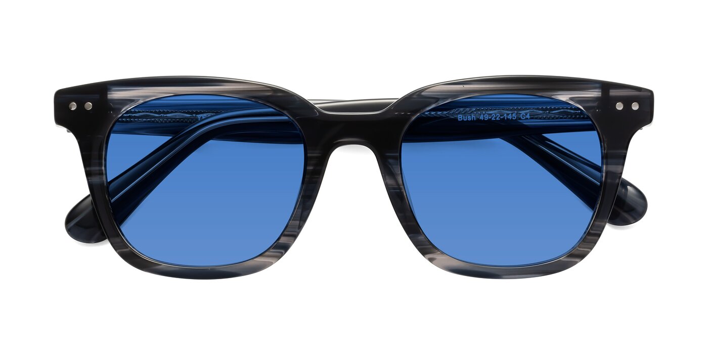 Bush - Stripe Gray Tinted Sunglasses
