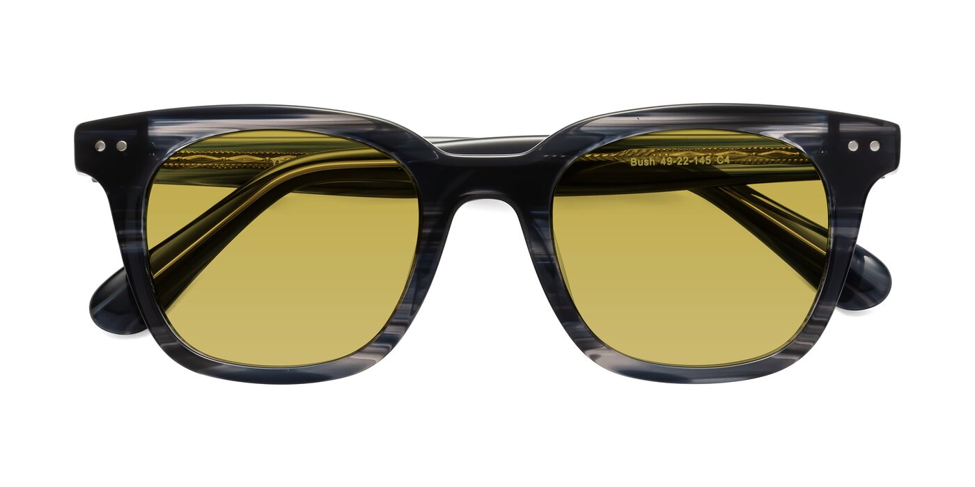 Bush - Stripe Gray Tinted Sunglasses